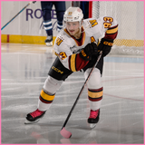 Honor Your Breast Cancer Survivor Sticks