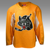 Team-issued Practice Jersey