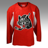 Team-issued Practice Jersey