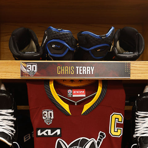 Game-Used – Chicago Wolves Store