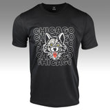 Under Armour Chicago Tee