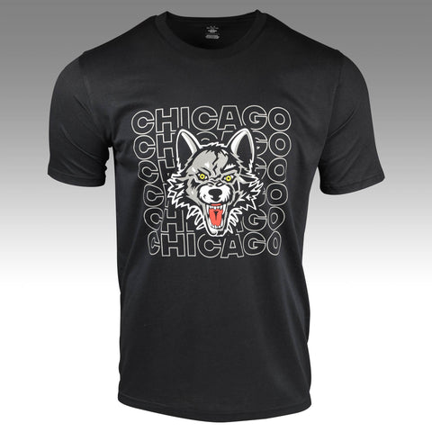 Under Armour Chicago Tee