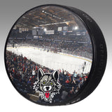 Arena Action Puck